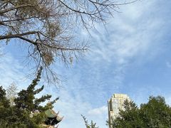 -望江楼公园