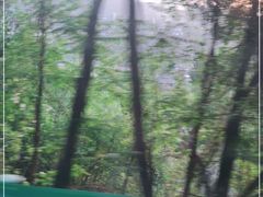 -兰山公园