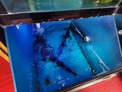 -老凯里酸汤鱼三十年老店