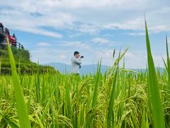 -龙脊梯田