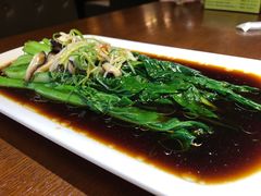 鲜菇菜心-宣威山野人家·云南菜·菌火锅(金碧店)