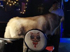 -来吧0519民谣酒吧