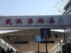 -武汉关码头(轮渡站)