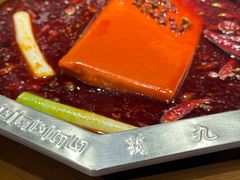 -蜀九香火锅(九眼桥店)