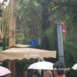 成都回忆录之宽窄巷子