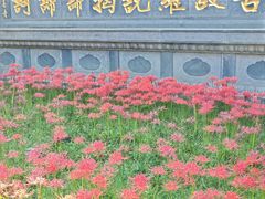 -西安大兴善寺