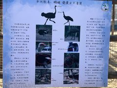 -青藏高原野生动物园