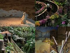 -正佳雨林生态植物园