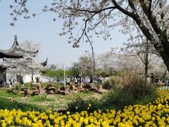-苏州上方山国家森林公园