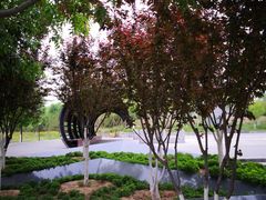 -永定河休闲森林公园