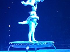 -珠海横琴长隆《卡卡虎奇遇记》