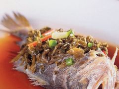 -老广酒楼(樱花店)