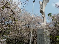 -武汉大学-樱园