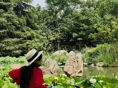 -洛阳市隋唐城遗址植物园