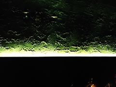 -ASPIRYNA酒吧水烟吧(太古里店)