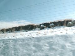 -祁连山·岗什卡雪峰景区