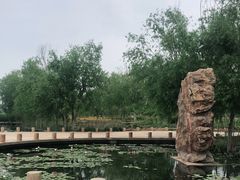 -绿堤公园