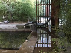 户外温泉-中家鑫园温泉酒店鑫悦汤泉