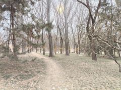 -元大都城垣遗址公园