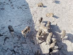 -西霞口神雕山野生动物世界