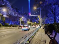 -龟山风景区-龟山电视塔