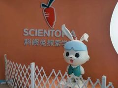 -科晓兔外教英文·数学思维·乐高编程·科学实验(怡山校区)