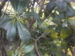 -西南交通大学(峨眉校区)