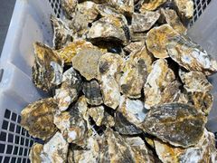 -争先鲜·蒸汽海鲜自助·鲜切牛肉