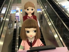 -凯德MALL(望京店)