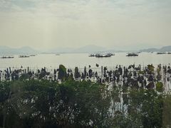 -湖畔居茶楼(湖滨店)