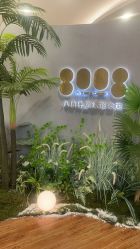 -八佰伴8008星级形象店