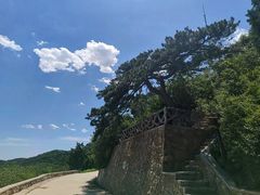 -北京西山国家森林公园