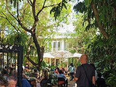 -Fern Forest Cafe