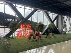 -肃宁华斯国际裘皮城