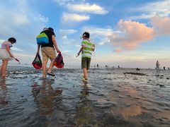 -南汇嘴观海公园