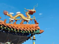 -大召无量寺