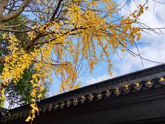 -西园戒幢律寺