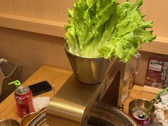 -闻老头·菊花炭烤肉(D11店)