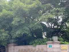 -中国福利会少年宫