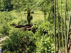 -萍乡武功山风景名胜区