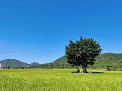 -风云岭森林公园