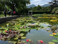 -国家植物园南园