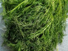 -皇城根·鲁菜济南菜·吊炉烤鸭·炒鸡鱼头(济南旗舰店)