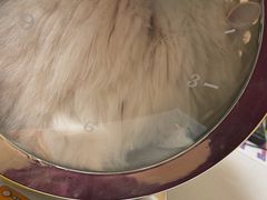 -瑞派康怡24h宠物医院·犬猫医疗中心·微创绝育(瑞景分院)