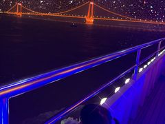 -武汉两江游览·夜游长江(汉口粤汉码头)