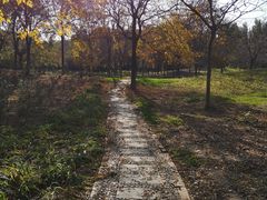 -秀水公园