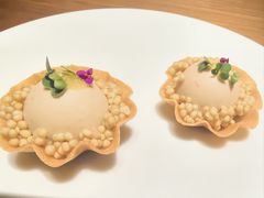 -觀芷隐轩