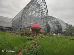 -南山植物园