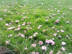 iphone_upload_pic-长安大学(北校区)