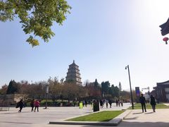 -大雁塔北广场音乐喷泉